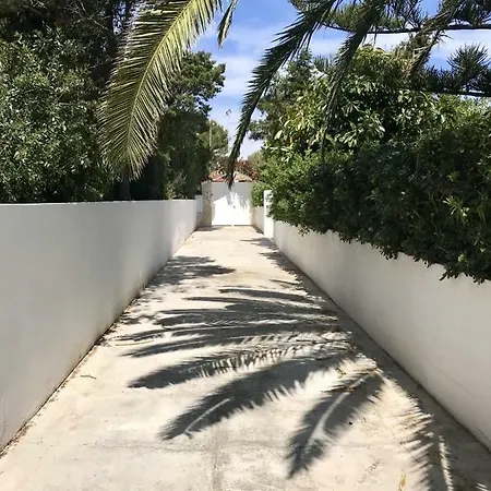 La Rosa Cala Blanca (Menorca)