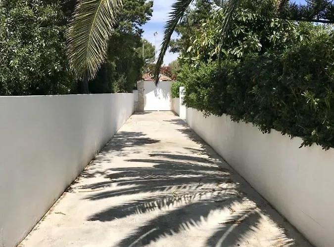 La Rosa Cala Blanca (Menorca)